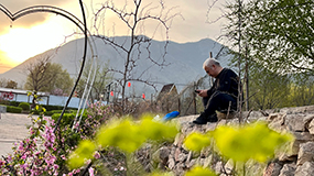 《油菜花兒開(kāi)》 郝志明